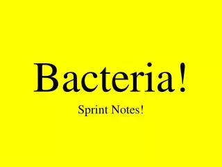 Bacteria! Sprint Notes!