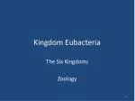 Kingdom Eubacteria - slide 1