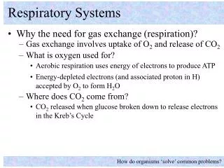 Respiratory Systems