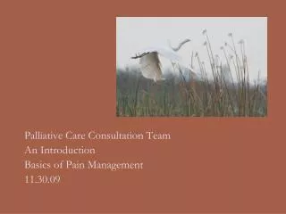 Palliative Care Consultation Team An Introduction Basics of Pain Management 11.30.09