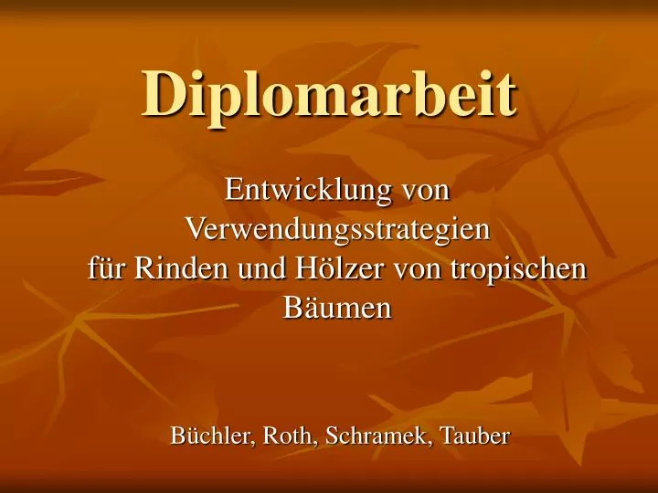 diplomarbeit