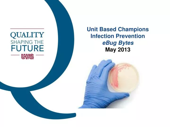 unit based champions infection prevention ebug bytes may 2013