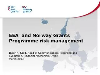 EEA and Norway Grants Programme risk management