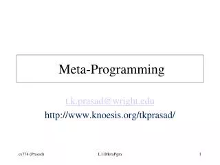 Meta-Programming