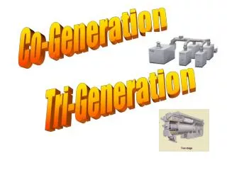 Co-Generation