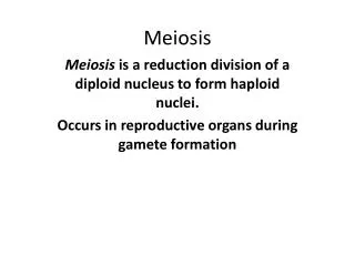 Meiosis