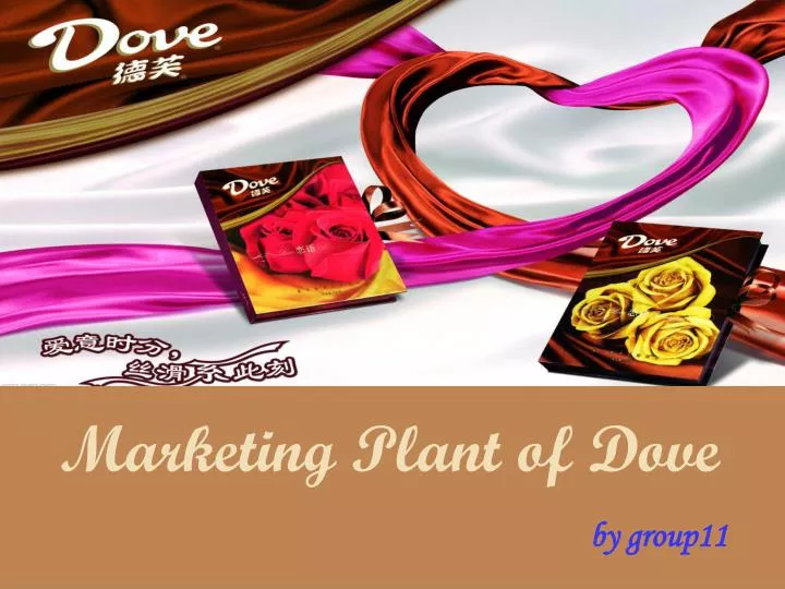 marketing plant of dove by group11