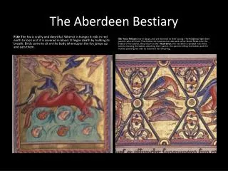 the aberdeen bestiary