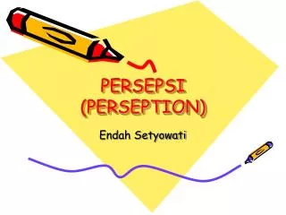 persepsi perseption