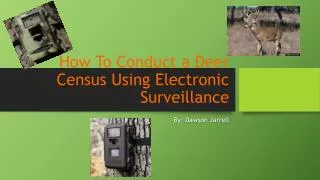 How To Conduct a Deer Census Using Electronic Surveillance