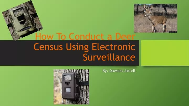 how to conduct a deer census using electronic surveillance