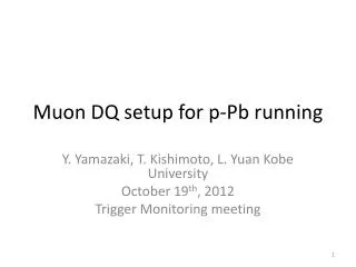 Muon DQ setup for p-Pb running