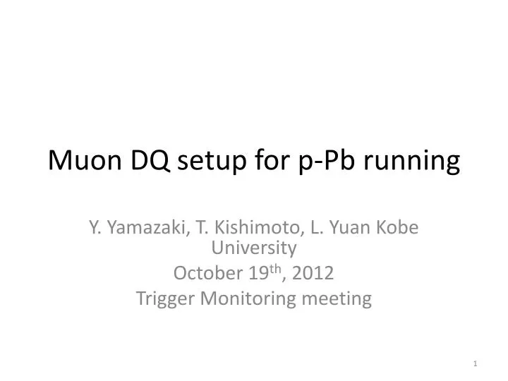 muon dq setup for p pb running