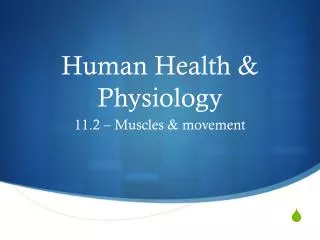 Human Health &amp; Physiology