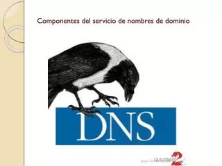 componentes del servicio de nombres de dominio