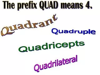 The prefix QUAD means 4.