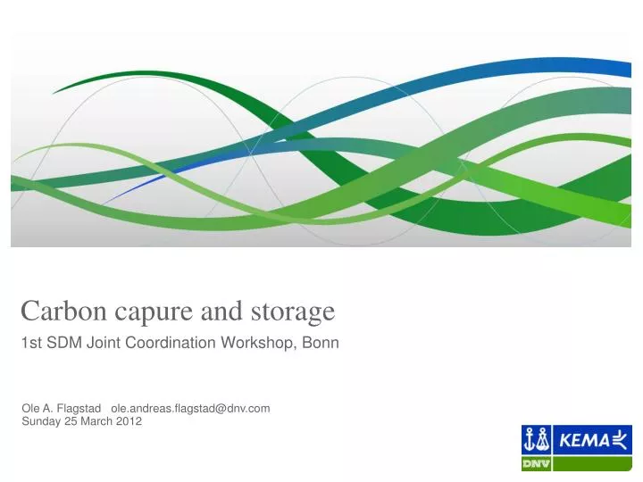 carbon capure and storage