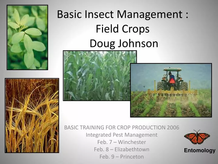 basic insect management field crops doug johnson