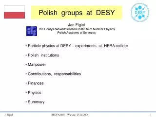 Polish groups at DESY