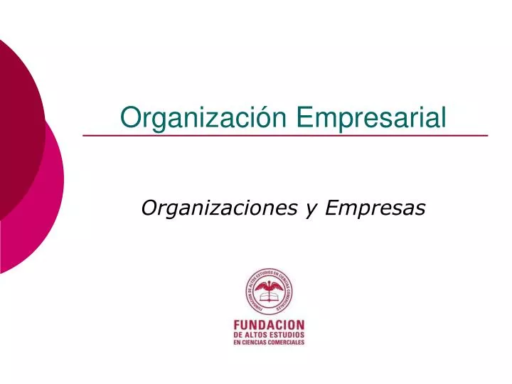 organizaci n empresarial