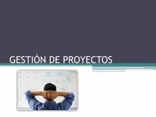 gesti n de proyectos