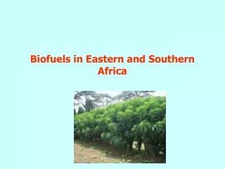 Biofuels in Eastern and Southern Africa