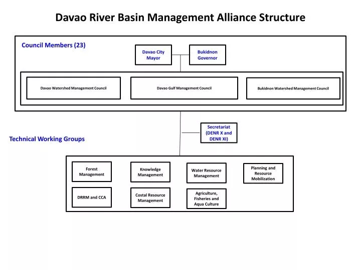 davao river basin management alliance structure