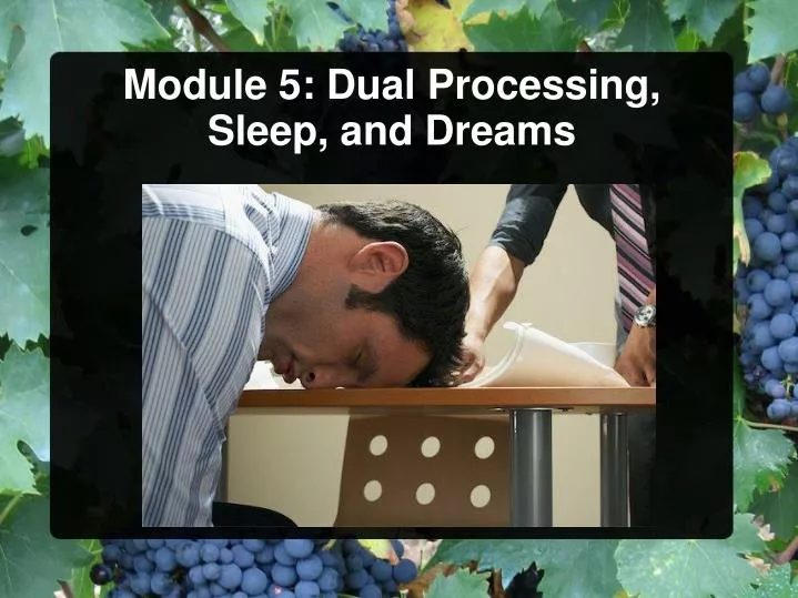 module 5 dual processing sleep and dreams