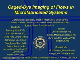 Caged-Dye Imaging of Flows in Microfabricated Systems