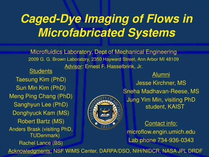 caged dye imaging of flows in microfabricated systems