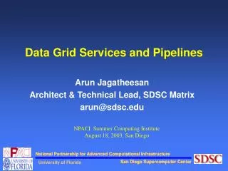 Data Grid Services and Pipelines