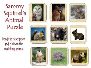Sammy Squirrel's Animal Puzzle