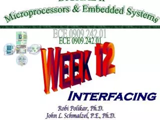 DIGITAL II Microprocessors &amp; Embedded Systems