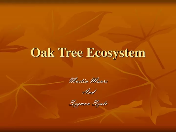 oak tree ecosystem