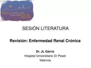 sesi n literatura