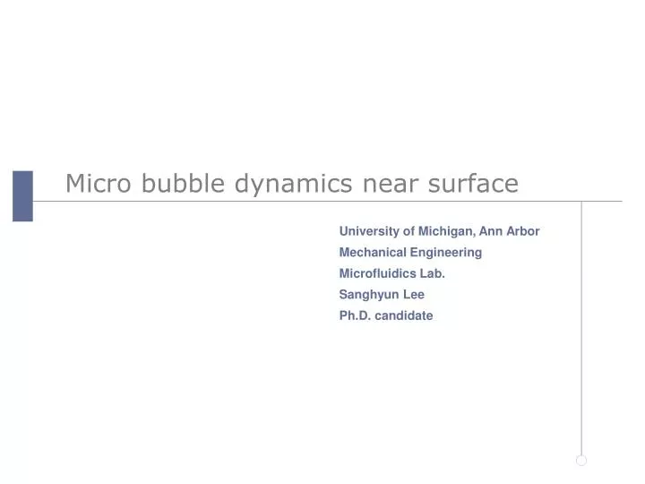 micro bubble dynamics near surface