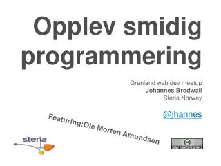opplev smidig programmering
