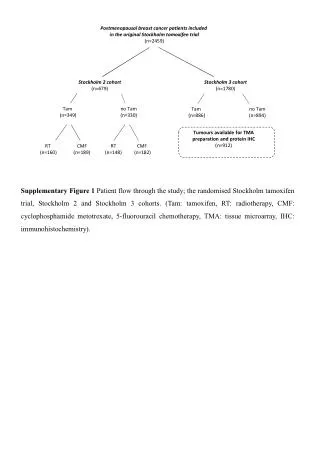 Postmenopausal breast cancer patients included in the original Stockholm tamoxifen trial (n=2459)