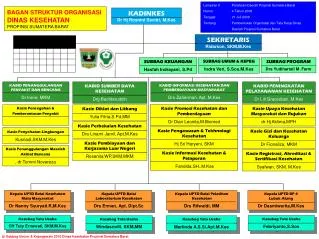 KADINKES Dr Hj Rosnini Savitri, M.Kes