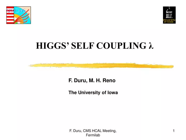 higgs self coupling