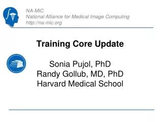 Training Core Update Sonia Pujol, PhD Randy Gollub, MD, PhD Harvard Medical School