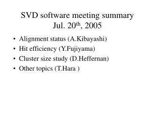 SVD software meeting summary Jul. 20 th , 2005