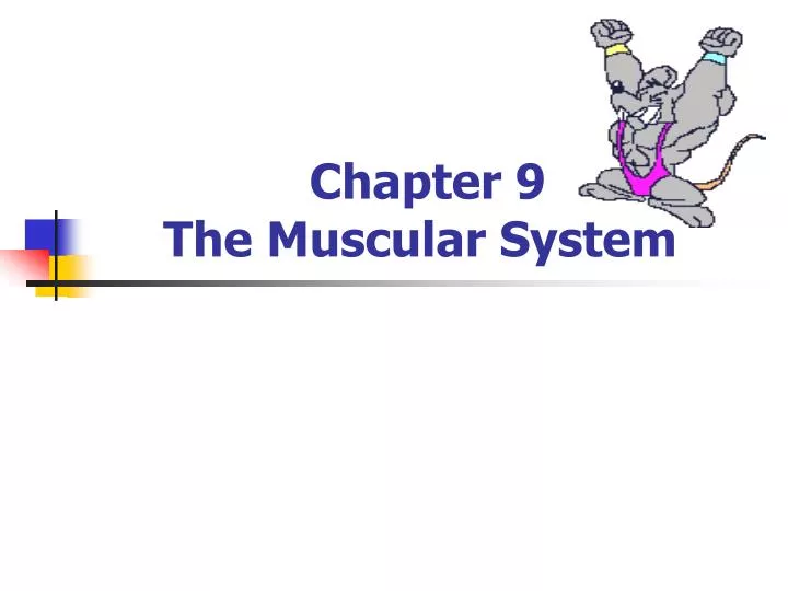 chapter 9 the muscular system
