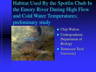 Chip Walton Undergraduate, Department of Biology Tennessee Tech University