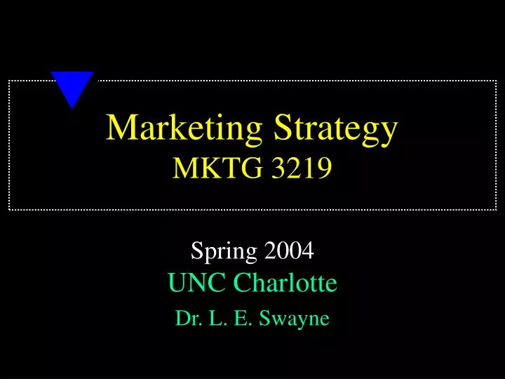 marketing strategy mktg 3219