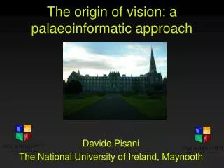 The origin of vision: a palaeoinformatic approach