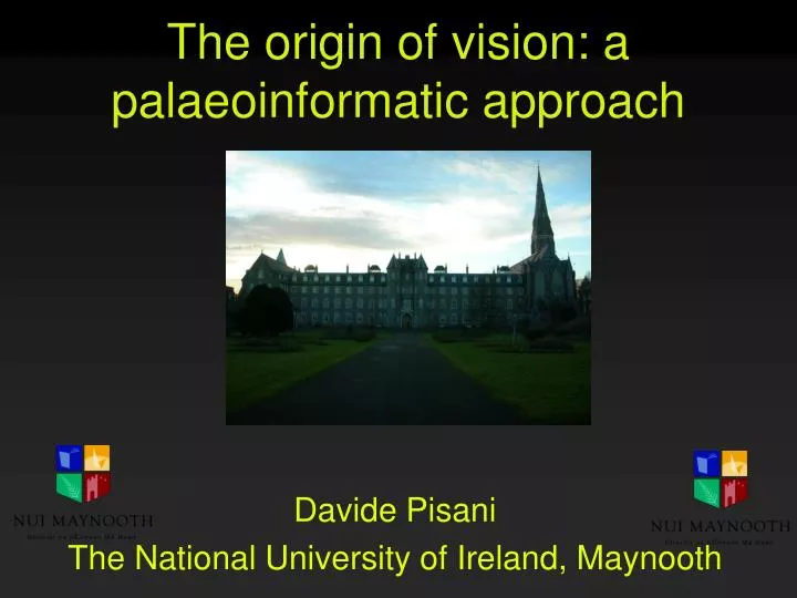 the origin of vision a palaeoinformatic approach