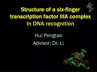 Structure of a six-finger transcription factor IIIA complex In DNA recognition