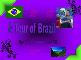 A Tour of Brazil