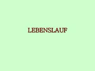 lebenslauf